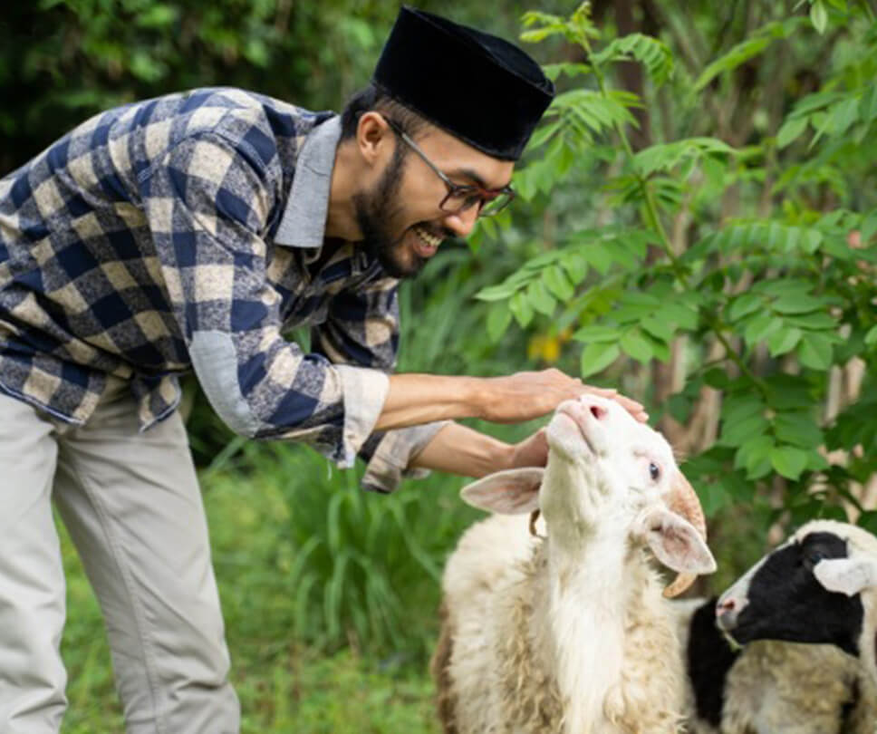 Ketentuan Syarat Hewan & Waktu Terbaik Pelaksanaan Aqiqah