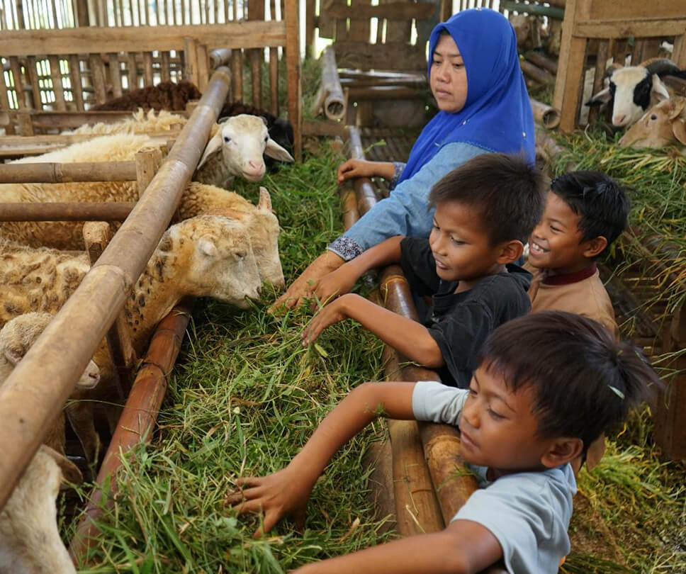 Memilih Jasa Aqiqah yang Amanah, Higienis, dan Sesuai Sunnah